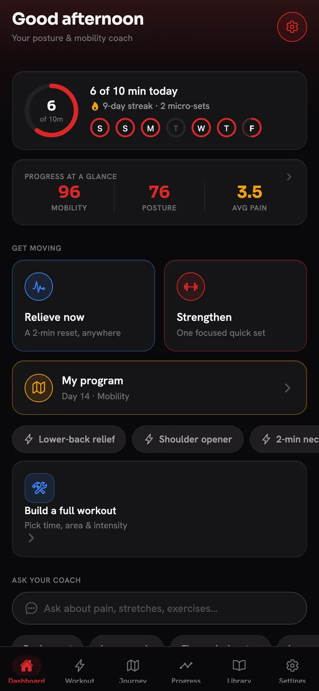 Posture 12 dashboard with daily goal ring and streaks